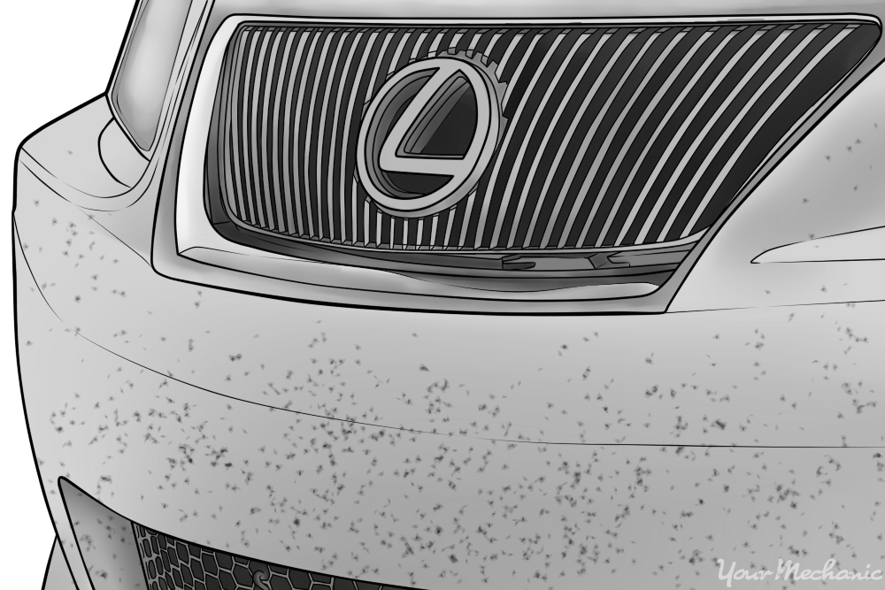 How to Remove Bugs From Your Car YourMechanic Advice